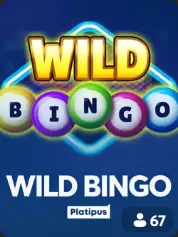 Wild Bingo BC Game Slovensko game cover