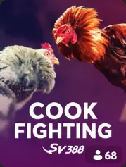 Cock Fighting BC Game Slovensko game cover